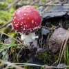 09 b Schluchensteig Etappe 4 - 6